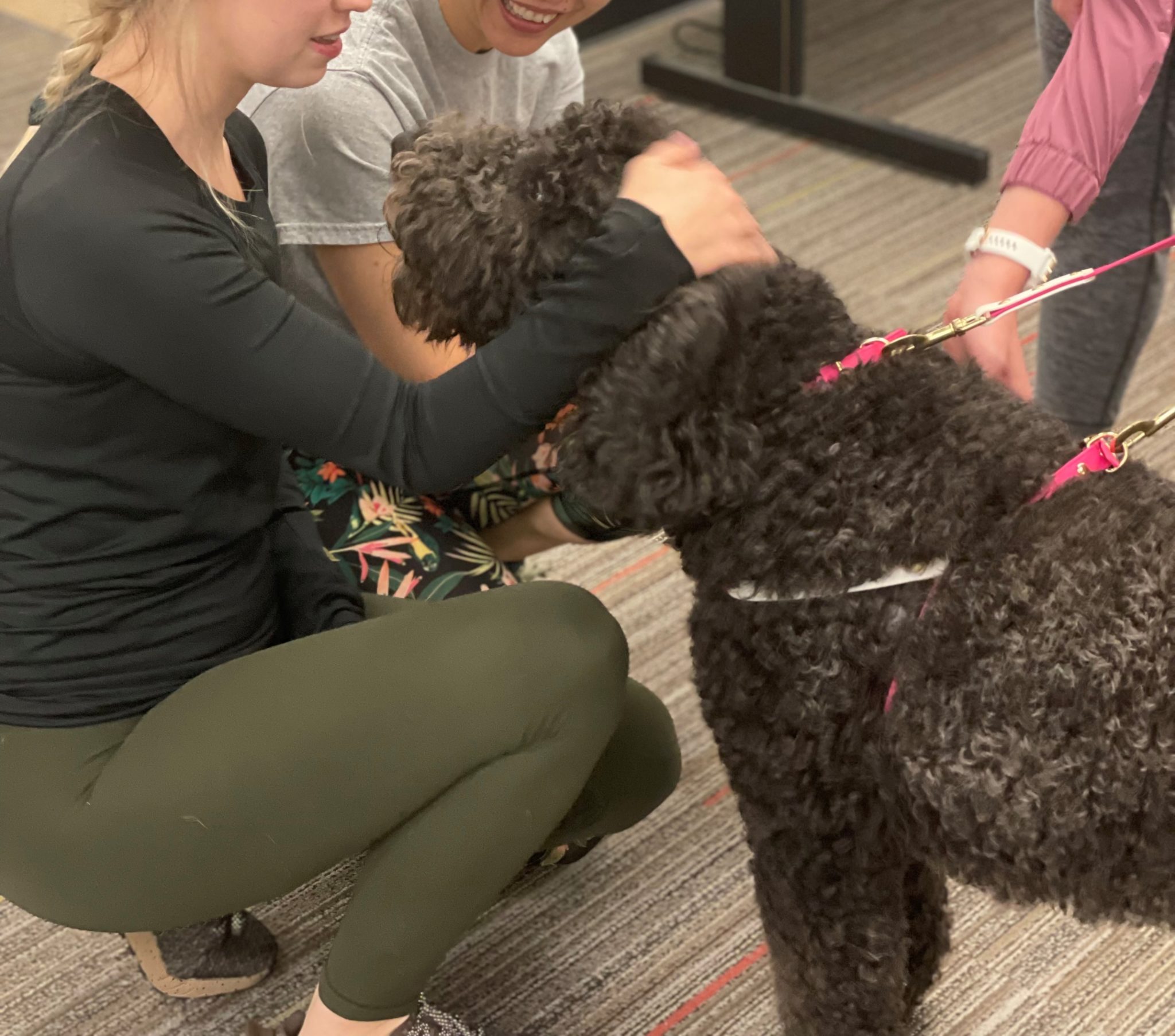 Animal Therapy in Kansas City | Touching Lives | Mo-Kan Pet Partners